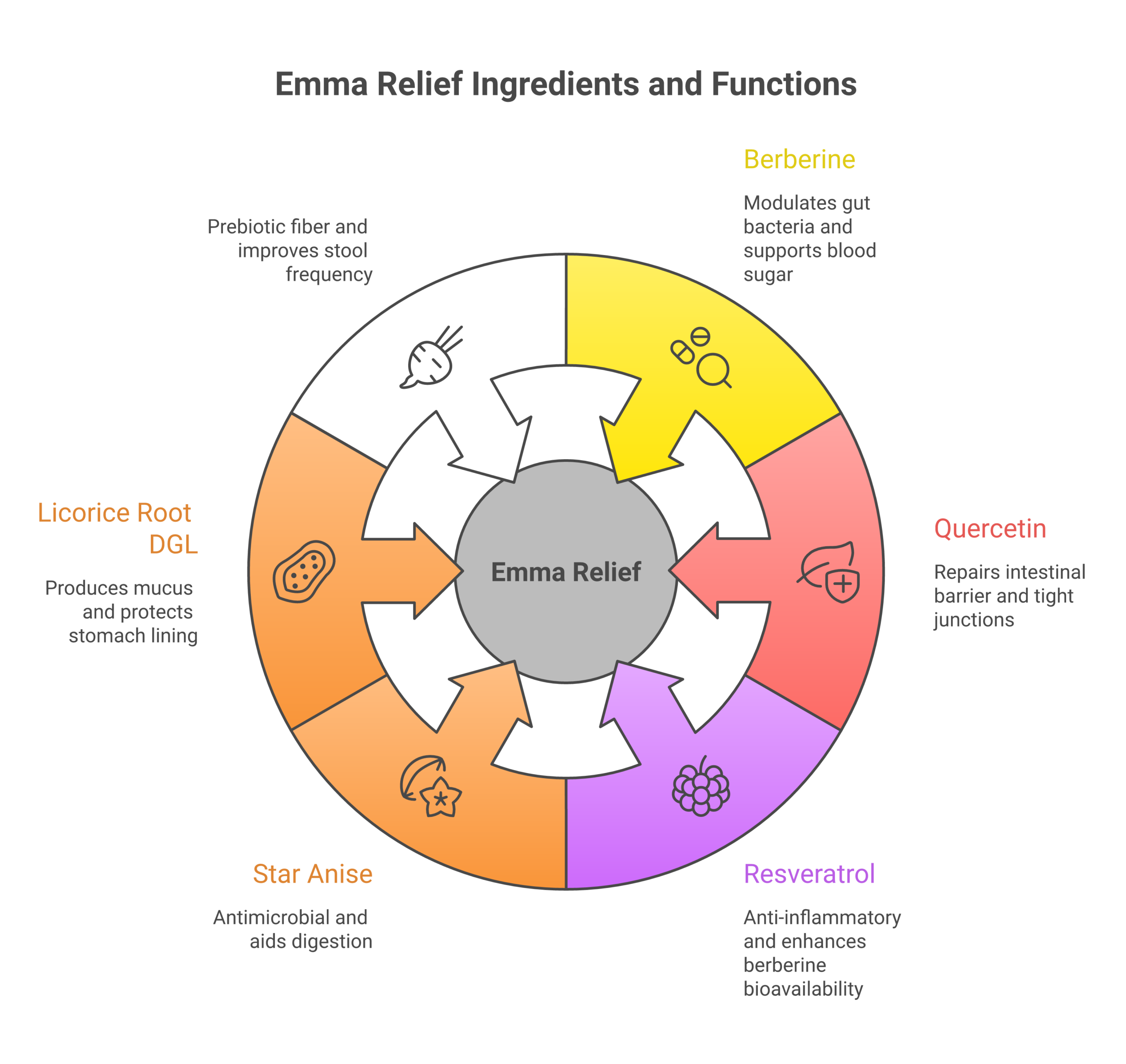 Emma Relief Review: Does Dr. Gina Sam's Gut Supplement Work? Emma Relief ingredients breakdown showing berberine quercetin resveratrol star anise licorice root and chicory inulin with evidence levels