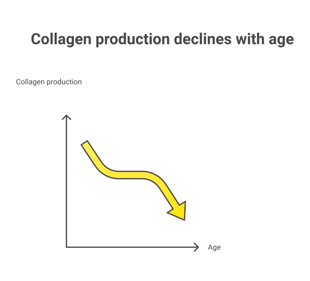 How collagen production declines with age from 25 to 80