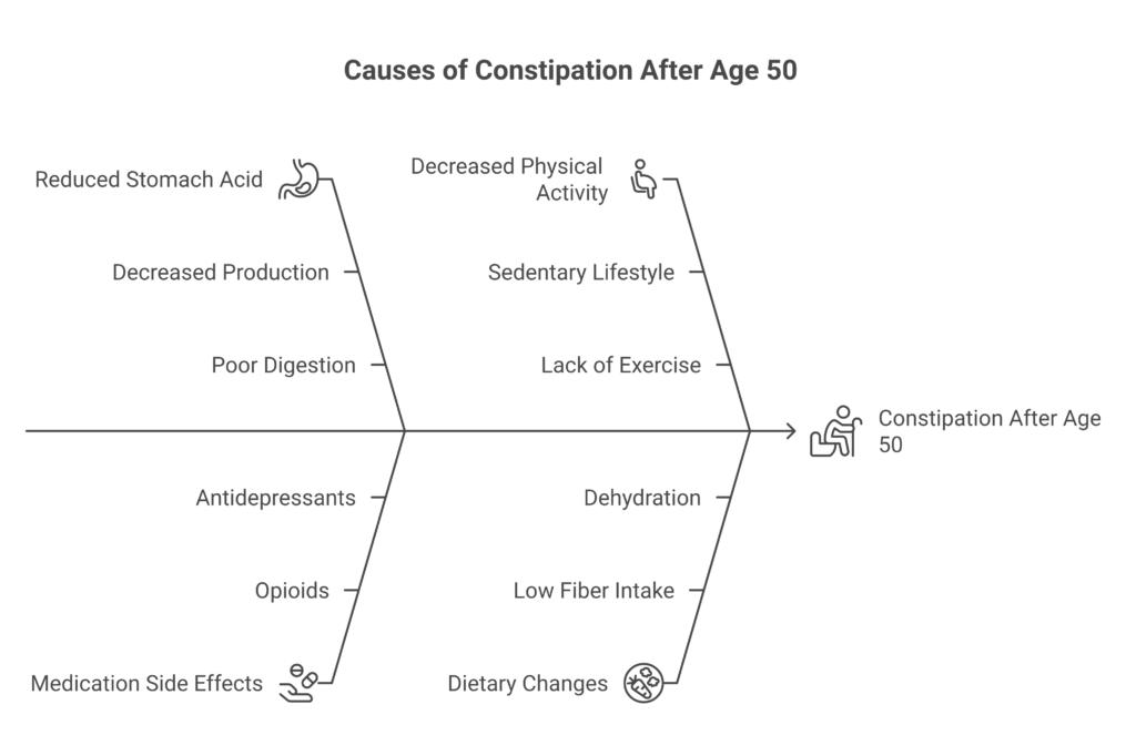 Common causes of constipation in adults over 50 including medications and lifestyle factors