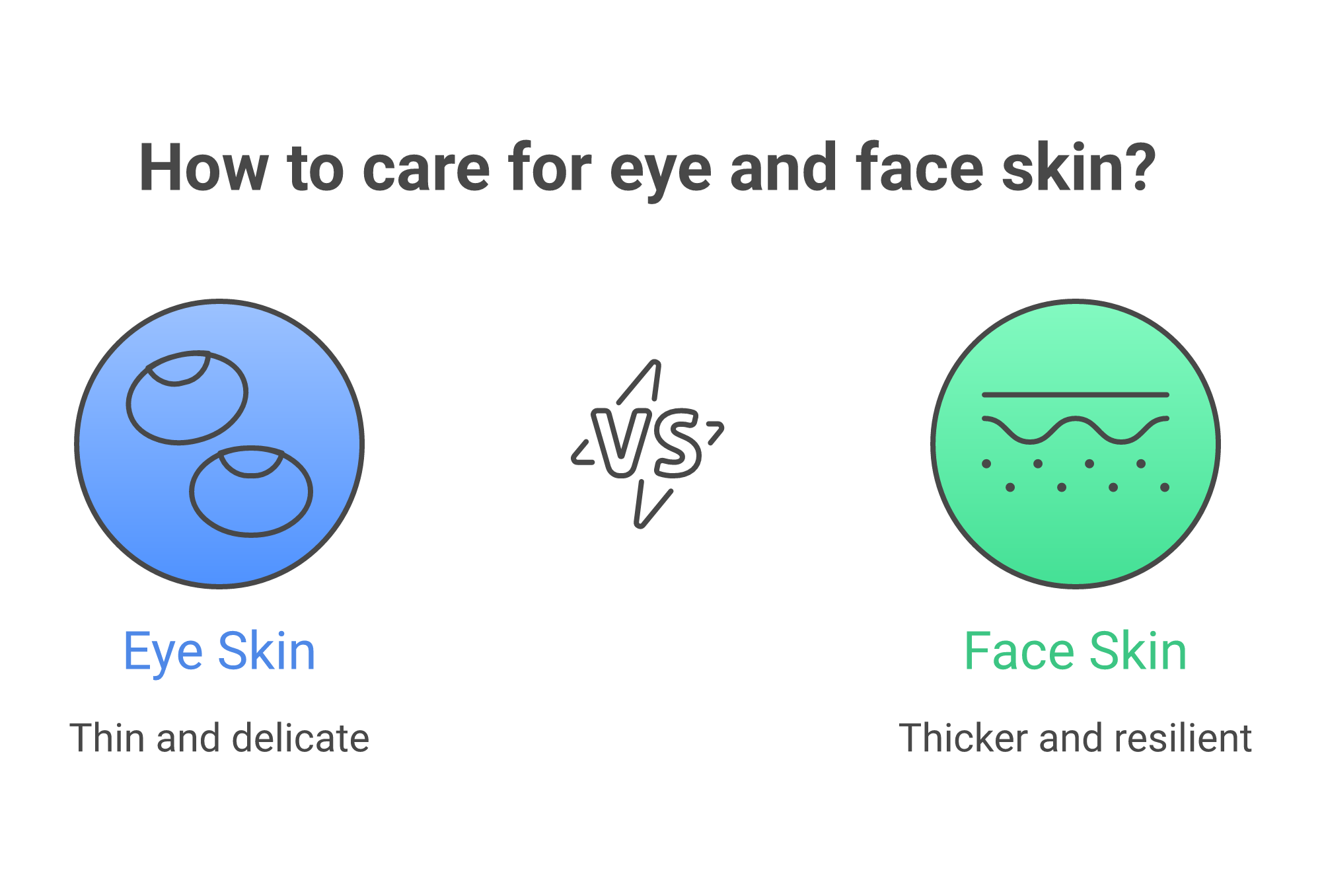 Eye area skin compared to face skin showing thickness oil glands and muscle differences