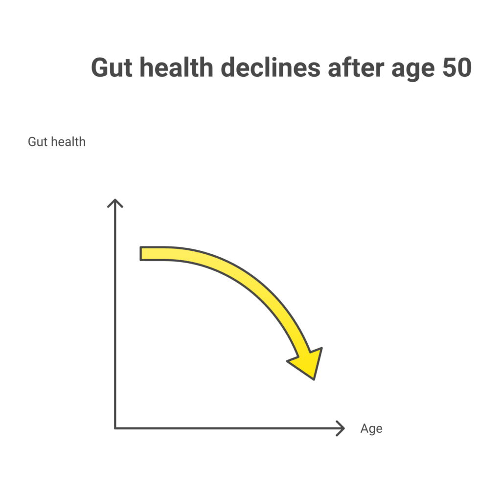 Gut health changes after age 50 timeline showing declining stomach acid and beneficial bacteria