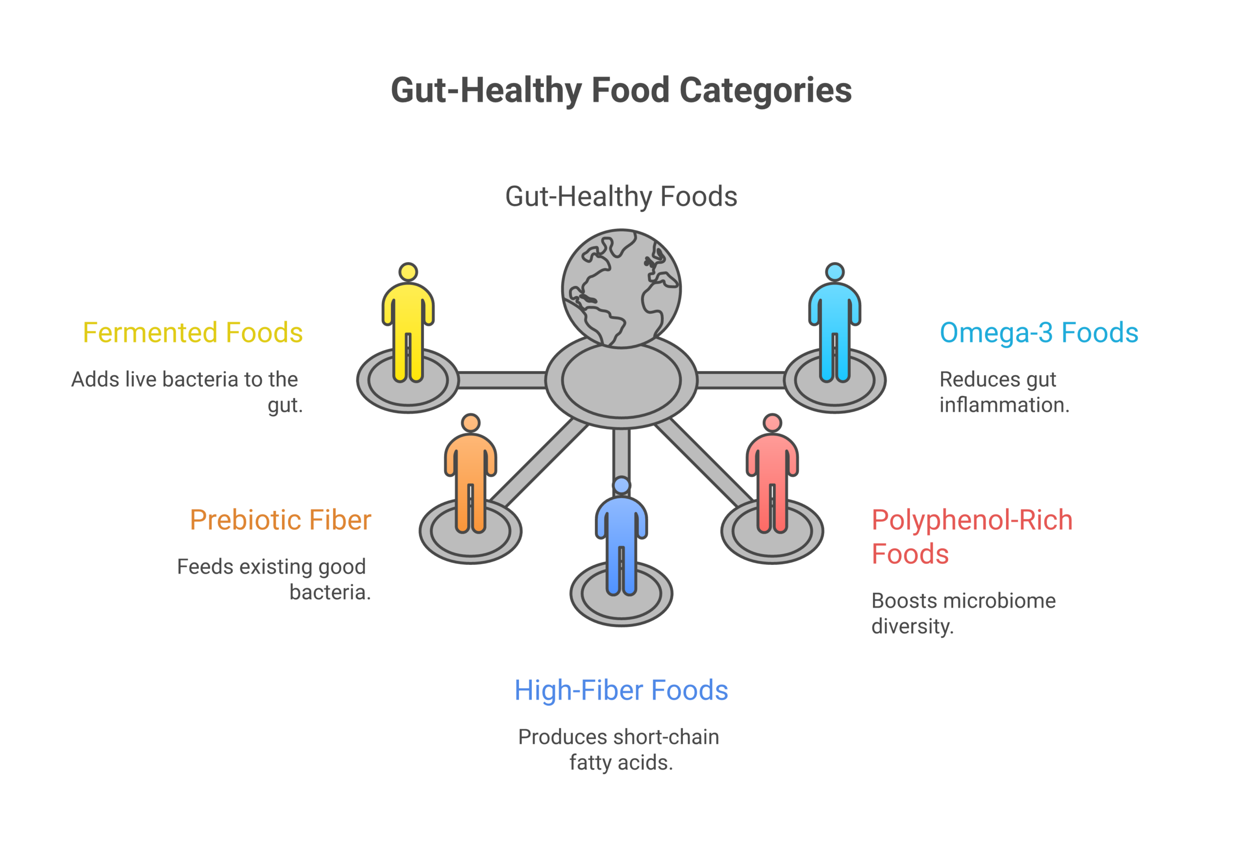 Best Foods to Eat for Better Gut Health Infographic showing 5 categories of gut-healthy foods: fermented, prebiotic, high-fiber, polyphenol-rich, and omega-3