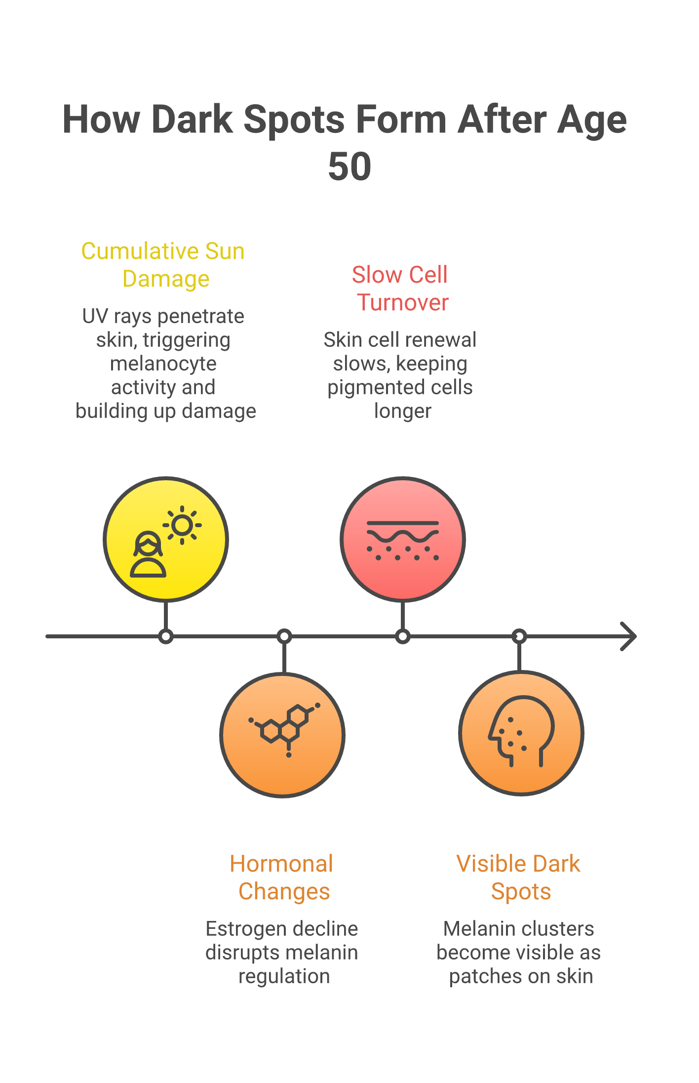 Infographic explaining how dark spots form after age 50 from UV exposure through melanin production to visible hyperpigmentation