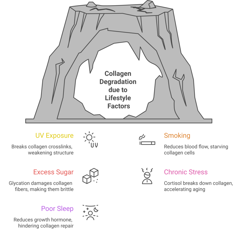 What Is Collagen? Benefits, Sources, and How to Boost It Naturally Five lifestyle factors that destroy collagen UV smoking sugar stress poor sleep