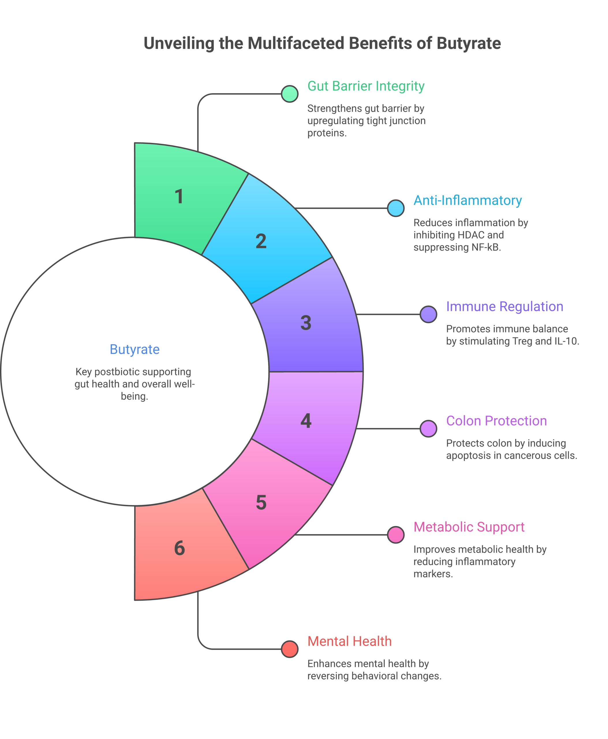 Why Postbiotics and Butyrate May Be Better Than Probiotics Infographic showing six key health benefits of butyrate including gut barrier integrity, anti-inflammatory action, immune regulation, colon protection, metabolic support, and mental health connections