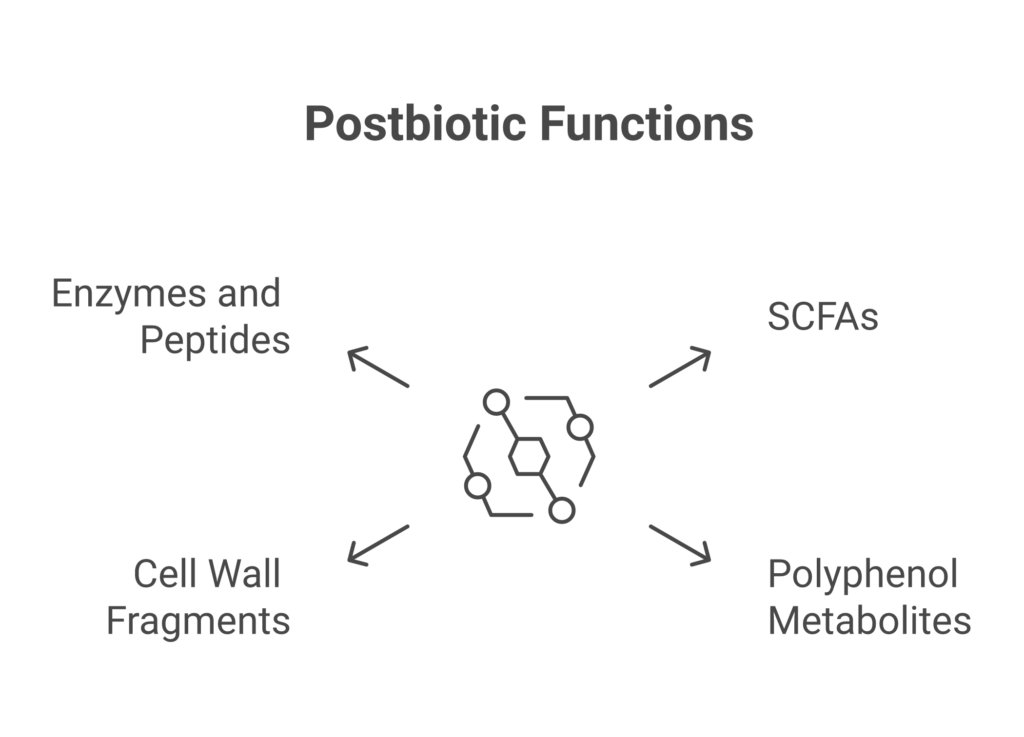 Chart showing four categories of postbiotic compounds with their functions and clinical benefits