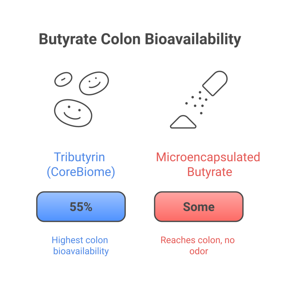 Comparison of butyrate supplement delivery methods showing tributyrin reaches the colon while sodium butyrate releases in the stomach
